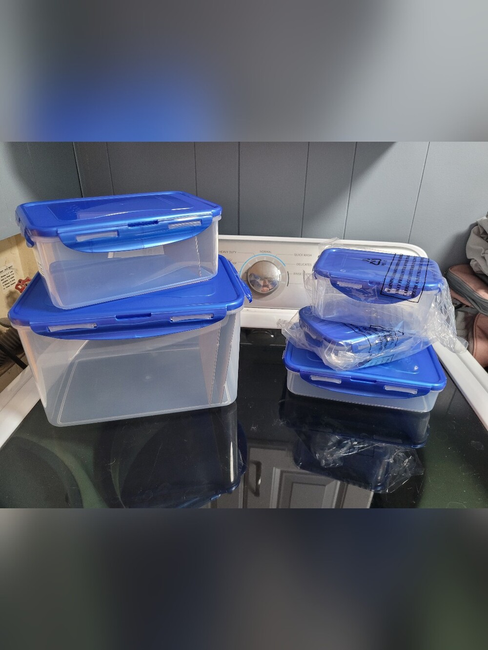 5 Piece Lock N' Lock Rectangle Food Storage Containers